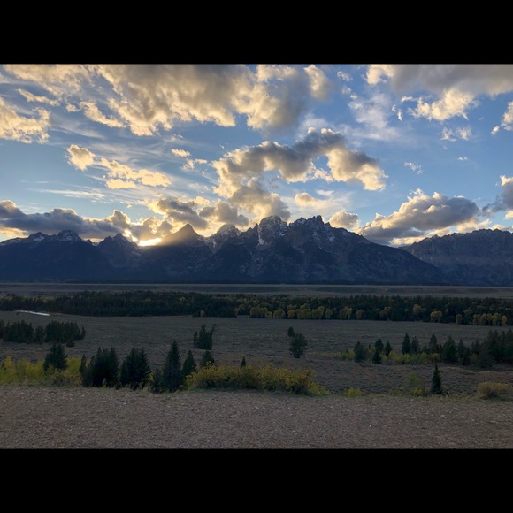 Meet your Posher, Denise - Picture 5 of 5